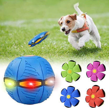 Dog Frisbee – Durable Flying Disc Toy for Pets | Fuzzle Pet Store