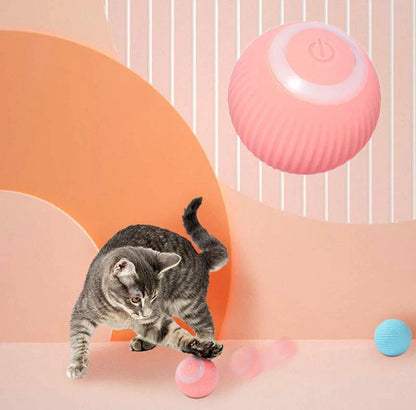 Pet Interactive Ball – Training & Playtime Toy for Dogs & Cats | Fuzzle Pet Store
