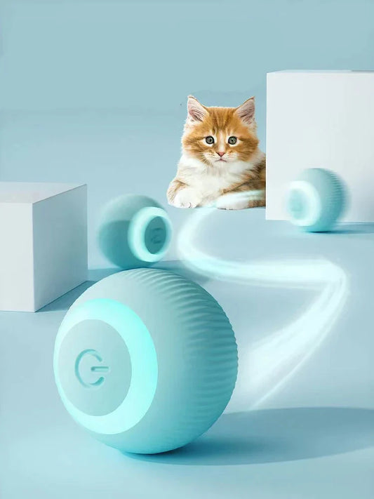 Pet Interactive Ball – Training & Playtime Toy for Dogs & Cats | Fuzzle Pet Store
