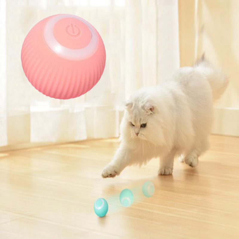 Pet Interactive Ball – Training & Playtime Toy for Dogs & Cats | Fuzzle Pet Store