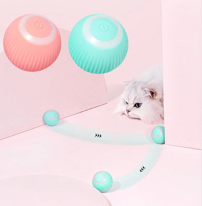 Pet Interactive Ball – Training & Playtime Toy for Dogs & Cats | Fuzzle Pet Store